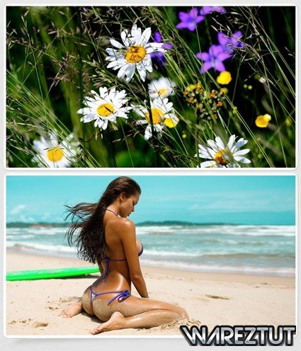  /wallpapers    #674