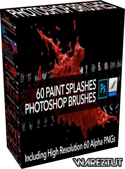 Creative Market - 60 Paint Splash Brushes for PS