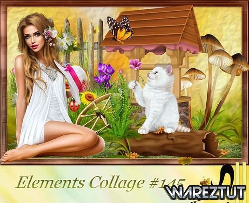 Elements Collage 145 (PNG, JPG)