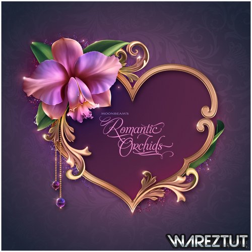 Renderosity - Moonbeam/#039;s Romantic Orchids (PNG)