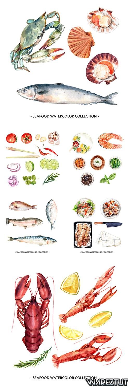 Seafood and vegetables watercolor design illustrations