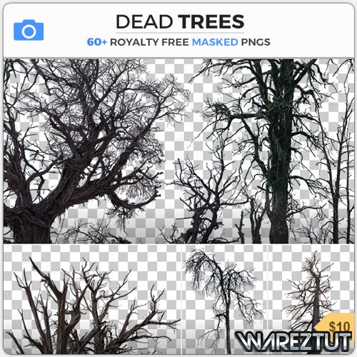 PHOTOBASH - DEAD TREES (PNG)