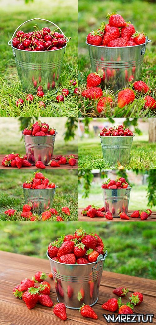 Strawberry and cherry abundance - Raster clipart