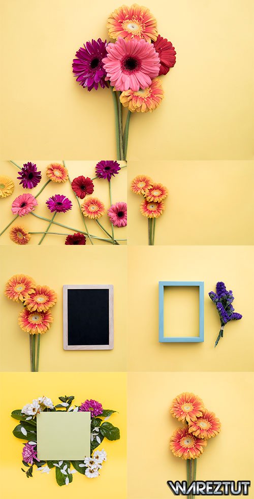 Flowers on a yellow background with frames - Raster clipart