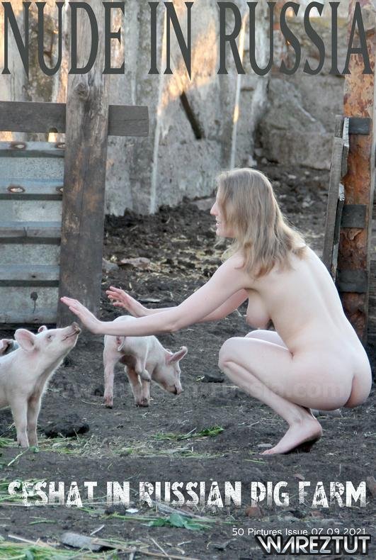 Seshat - Pig farm (x50)