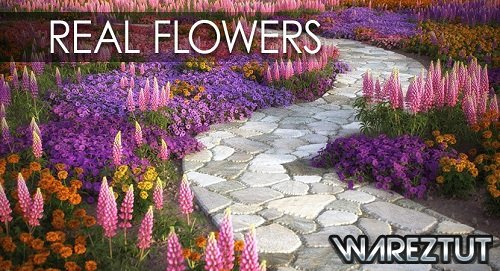 VIZPARK - Real Flowers
