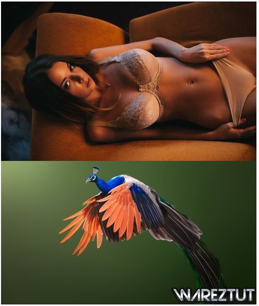 Best Mix Wallpapers 286